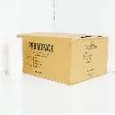 16oz White Paper Soup Cup 500/ctn
