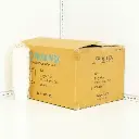 10oz Single Wall White Paper Cup 500/ctn