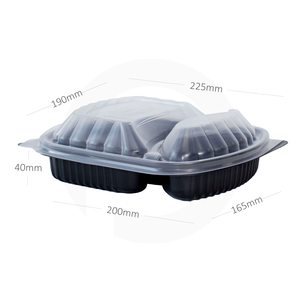 PP Plastic Rectangular Box Divided Into 2 Sections 250/ctn