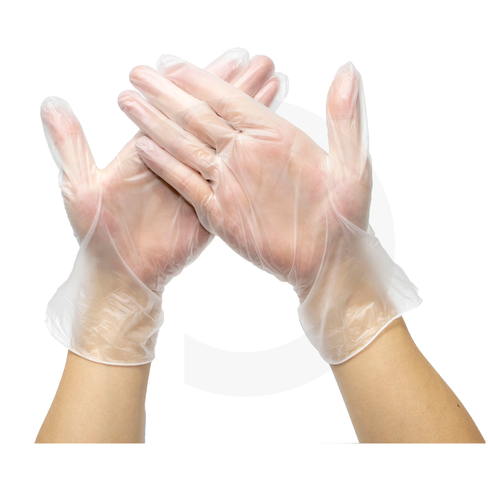 Large Clear Vinyl Gloves 10box/ctn