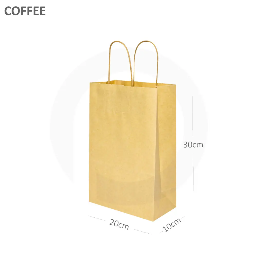 #2010 Kraft Paper Twisted Handle Bag  200/ctn