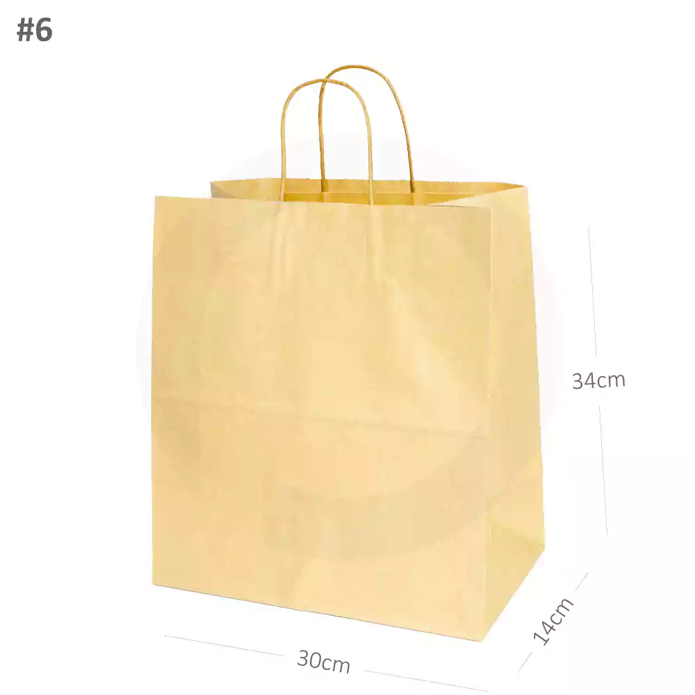 #6 Kraft Paper Twisted Handle Bag 200/ctn