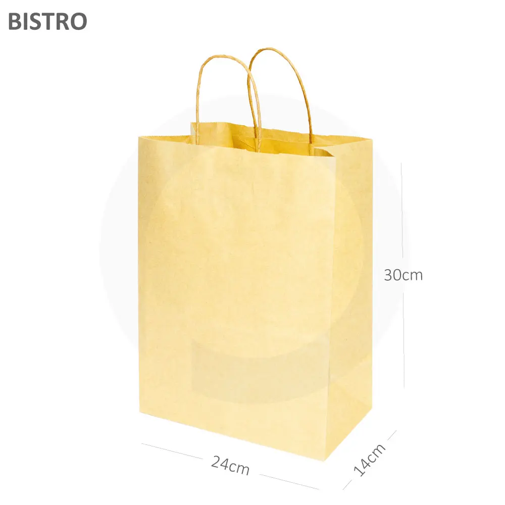#4 Kraft Paper Twisted Handle Bag 200/ctn