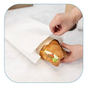 Paper Bags / Satchel