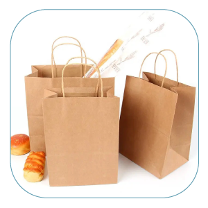 Paper Bags / Twisted Handle