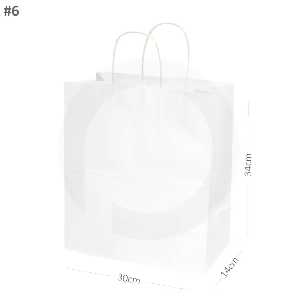 [001009] #6 White Paper Twisted Handle Bag 200/ctn