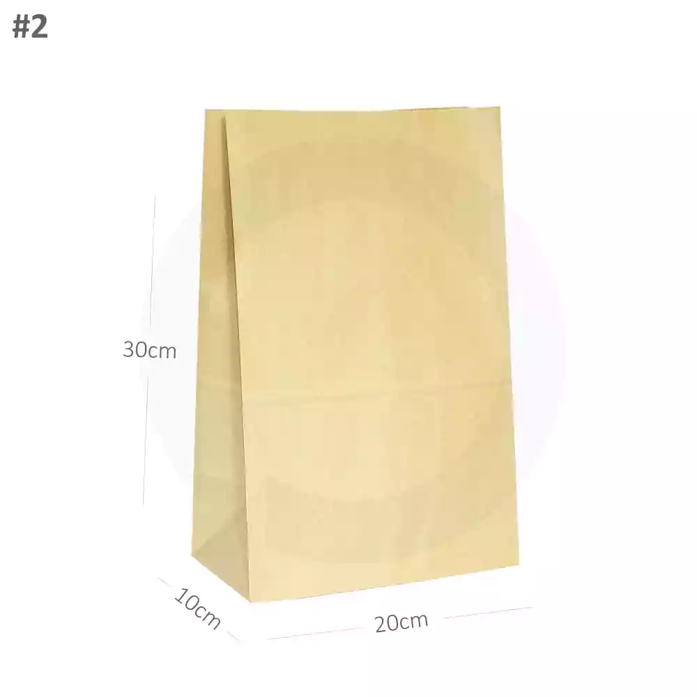 [001020] #2 Kraft Paper No Handle Bag 200/ctn