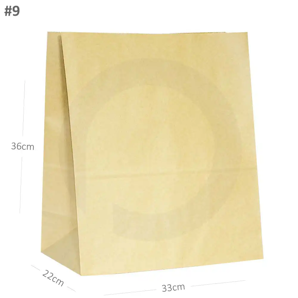 [new016] #9 Kraft Paper No Handle Bag 200/ctn